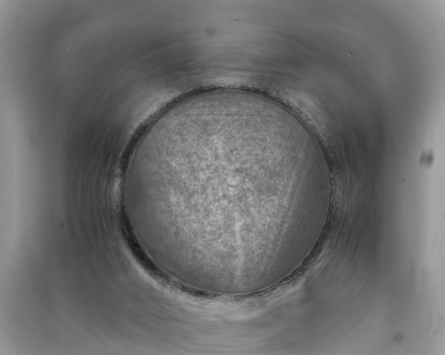 X0000091060016200708131140