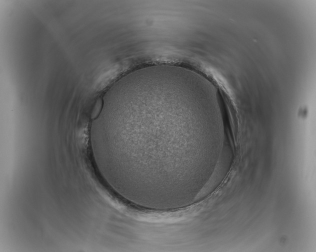 X0000091060017200708131140