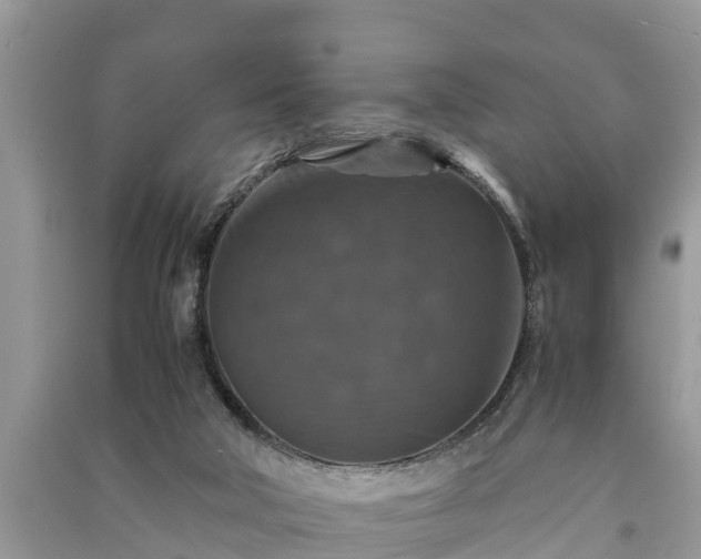X0000091060018200708131140