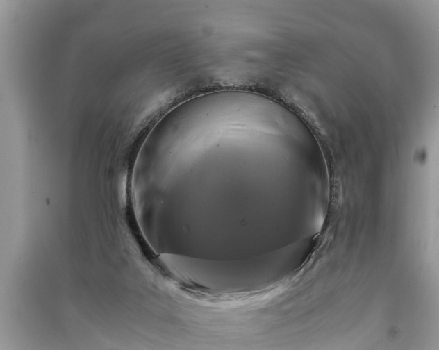 X0000091060019200708131140