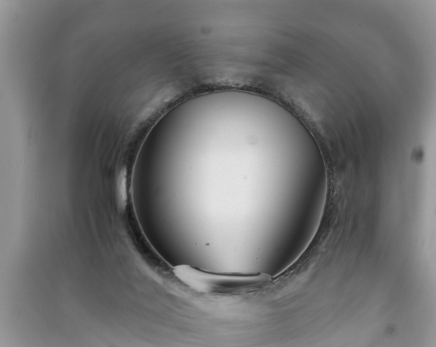 X0000091060020200708131140