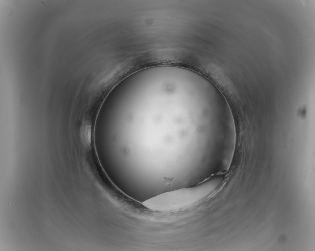 X0000091060021200708131140