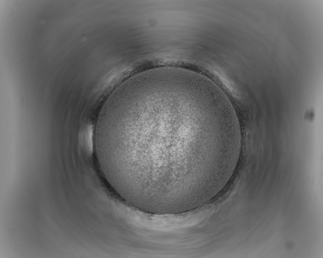 X0000091060022200708131140