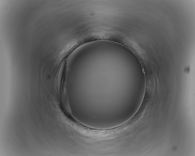X0000091060023200708131140