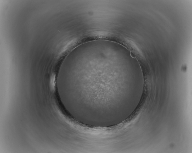 X0000091060024200708131140