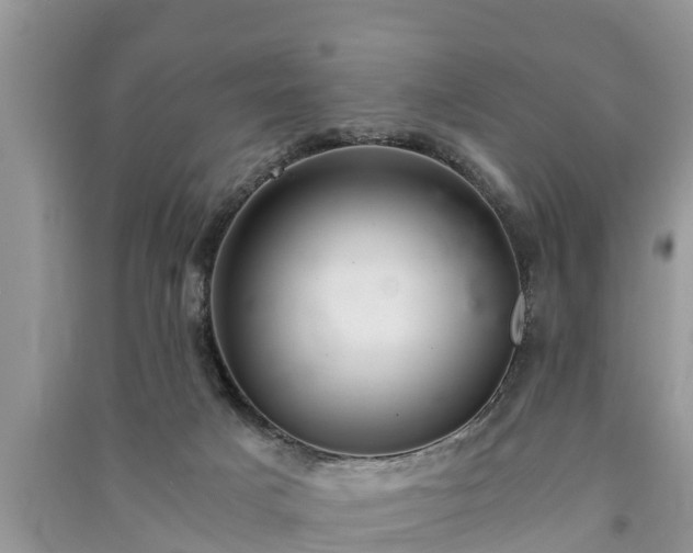 X0000091060025200708131140