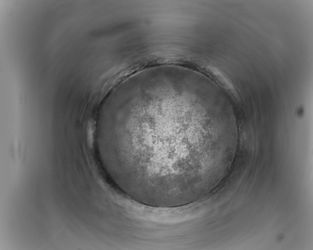 X0000091060026200708131140