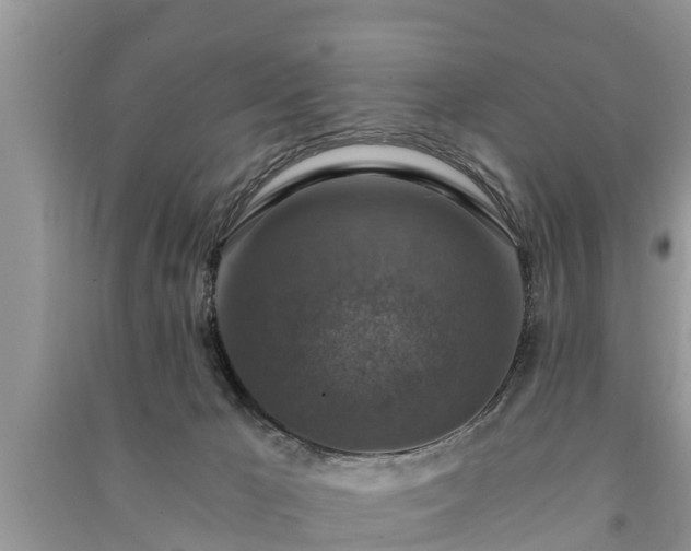 X0000091060029200708131140
