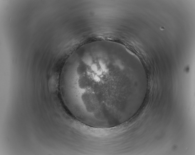 X0000091060030200708131140