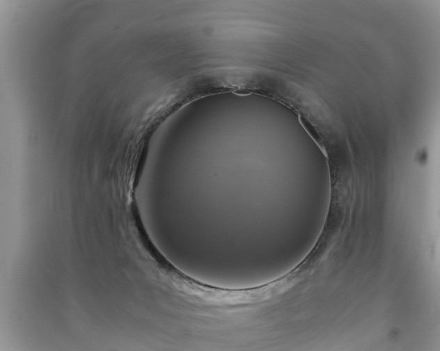 X0000091060031200708131140