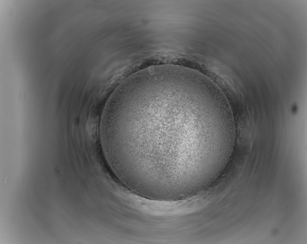 X0000091060034200708131140