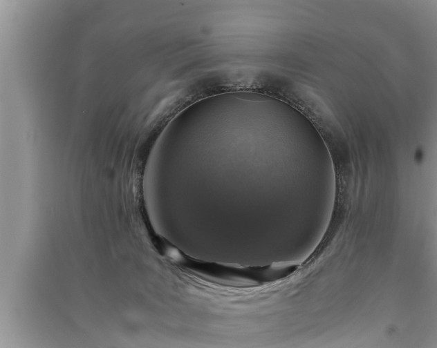 X0000091060035200708131140