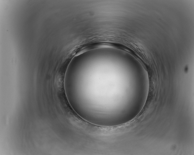 X0000091060037200708131140