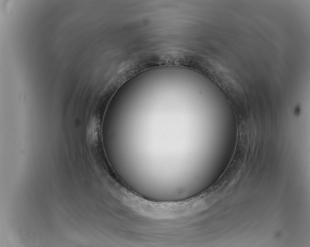 X0000091060038200708131140