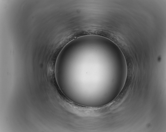 X0000091060040200708131140