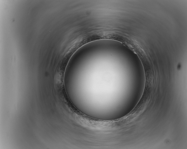 X0000091060044200708131140