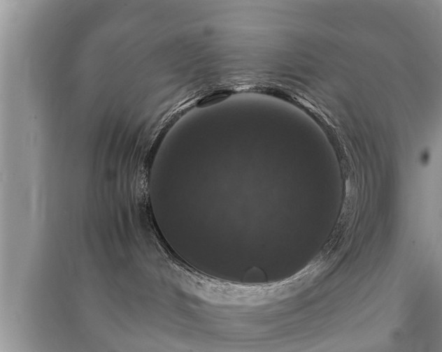 X0000091060048200708131140