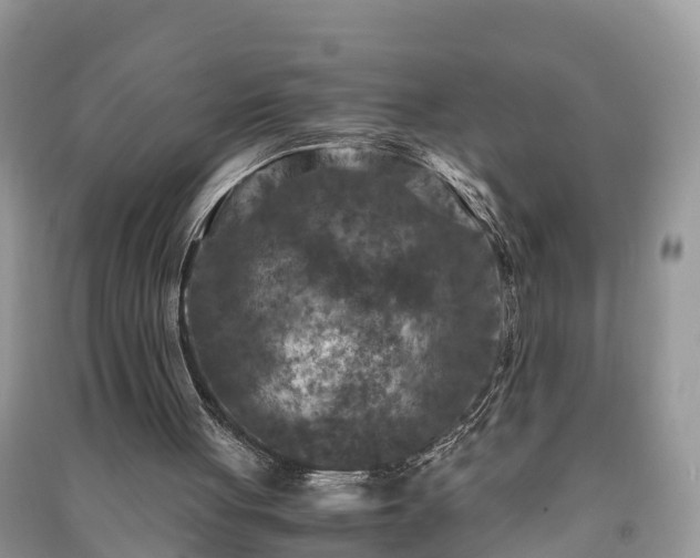 X0000091060051200708131139