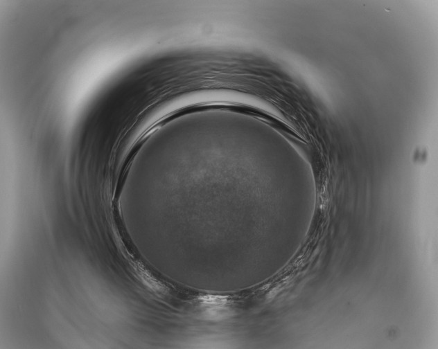 X0000091060052200708131139
