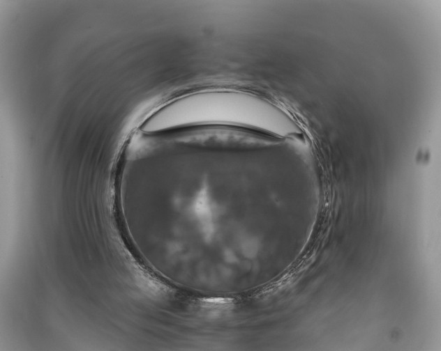 X0000091060053200708131139