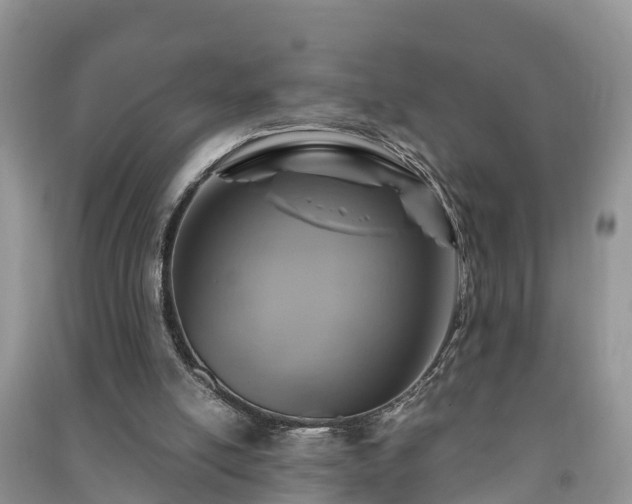 X0000091060054200708131139