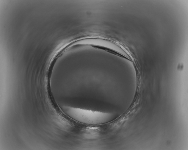 X0000091060055200708131139