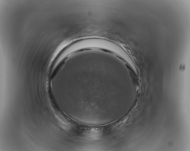 X0000091060056200708131139