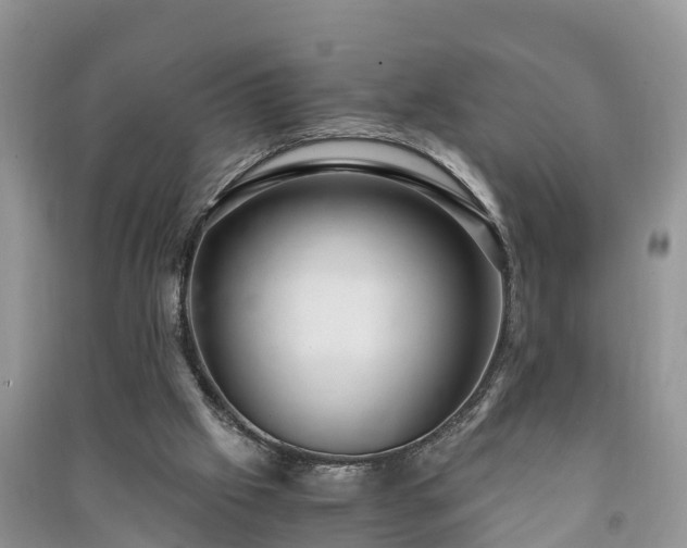 X0000091060057200708131139