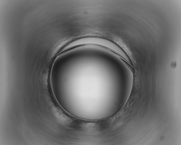 X0000091060058200708131139