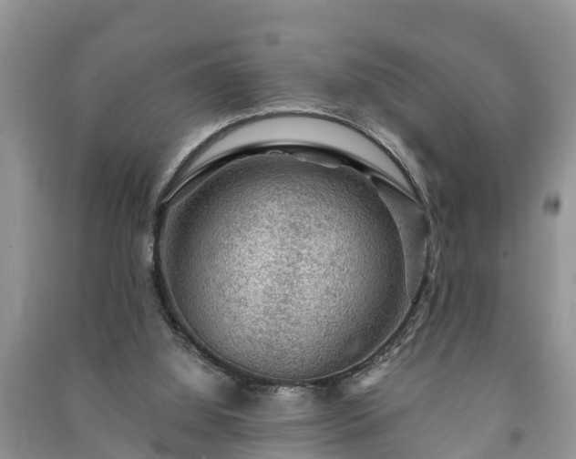 X0000091060060200708131139