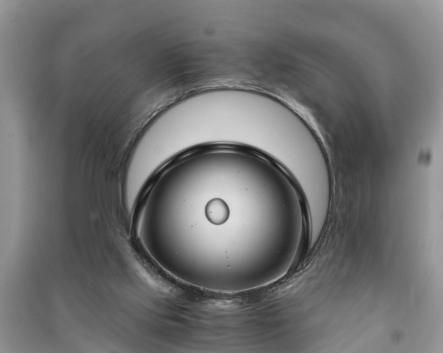 X0000091060061200708131139