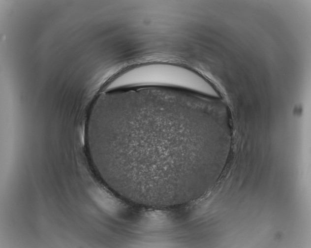 X0000091060062200708131139