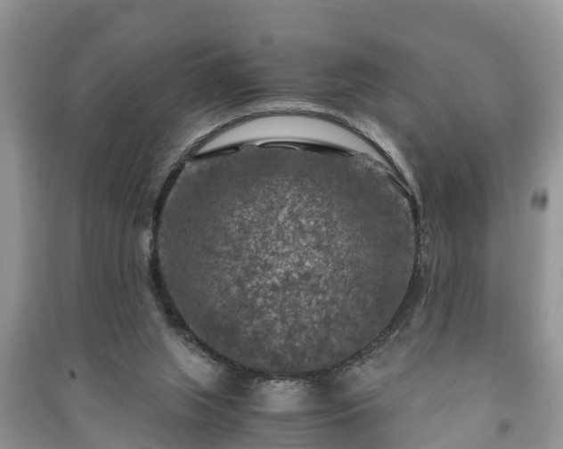 X0000091060063200708131139