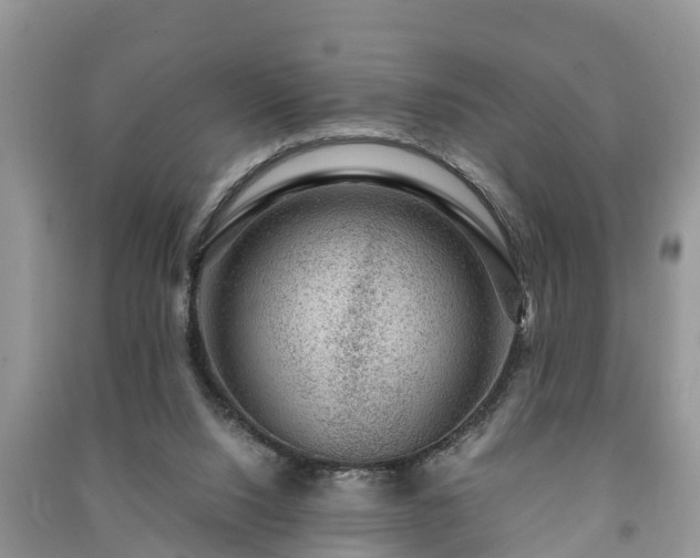 X0000091060064200708131139