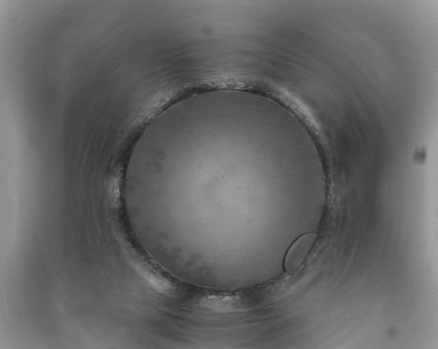 X0000091060065200708131139