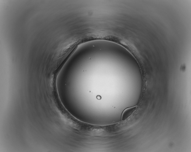 X0000091060066200708131139