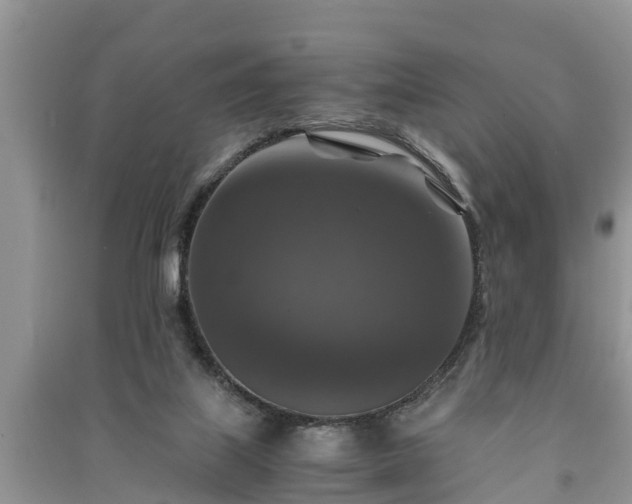 X0000091060067200708131139
