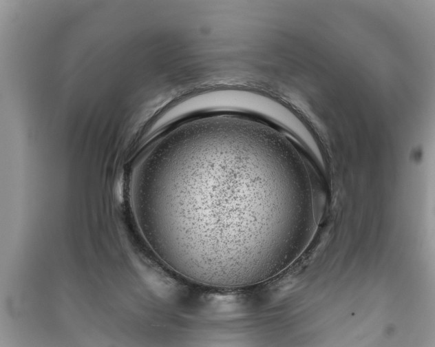 X0000091060068200708131139