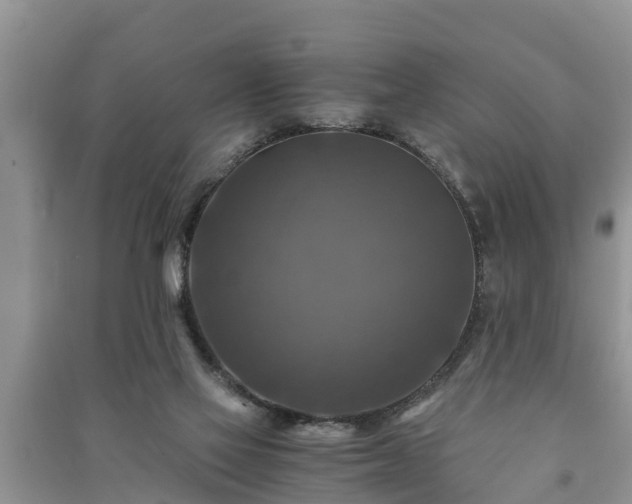 X0000091060069200708131139