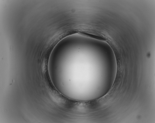 X0000091060074200708131140