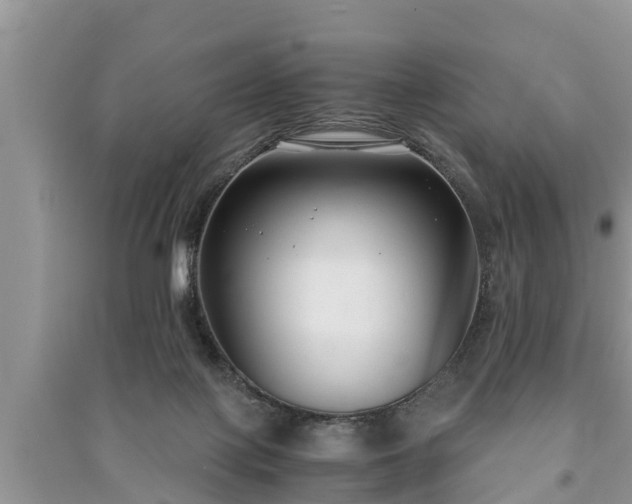 X0000091060075200708131140