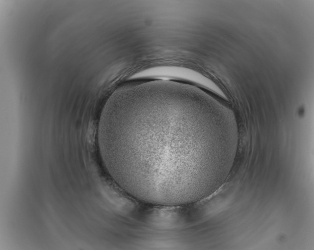 X0000091060078200708131140