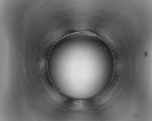 X0000091060079200708131140