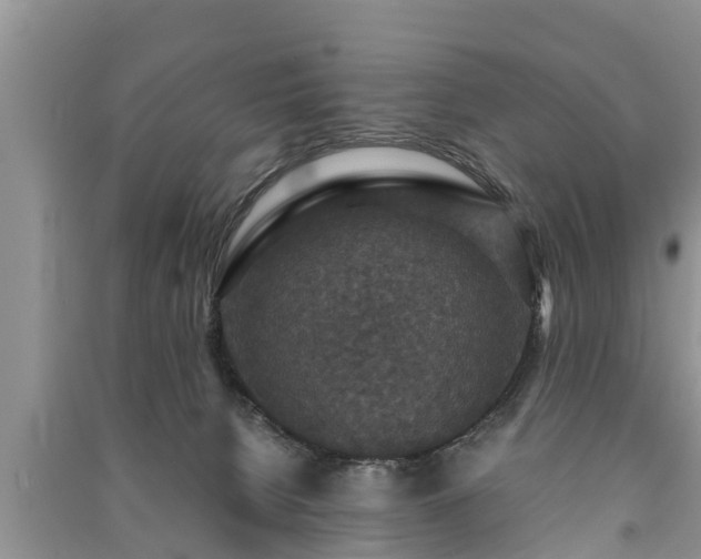 X0000091060080200708131140
