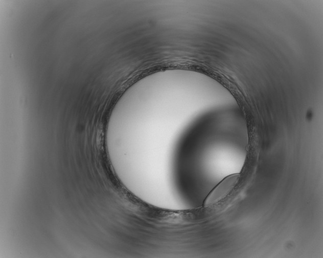 X0000091060083200708131140