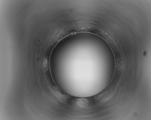 X0000091060087200708131140