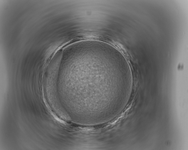 X0000091060097200708131139