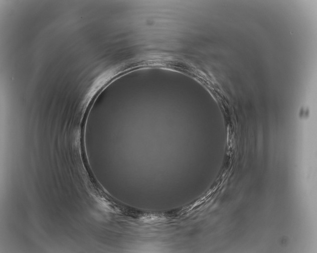 X0000091060099200708131139