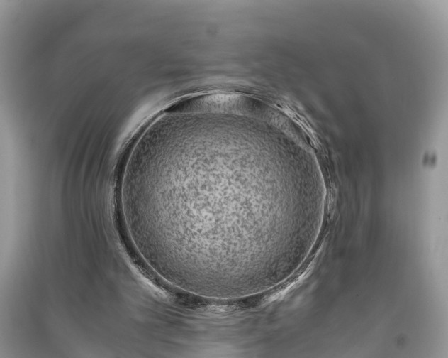 X0000091060101200708131139