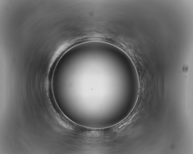 X0000091060102200708131139